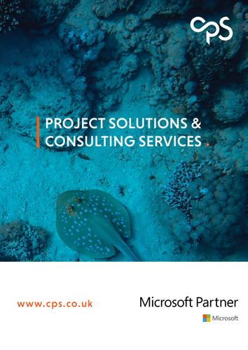 Project Solutions and Consulting Services