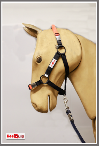 Resquip Ltd - Rescue Head Collars