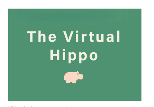 The Virtual Hippo Ltd