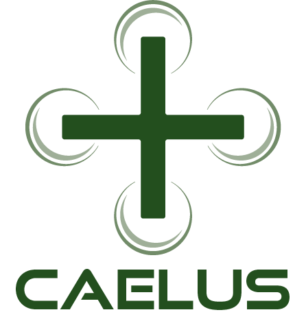 AGS Project Caelus