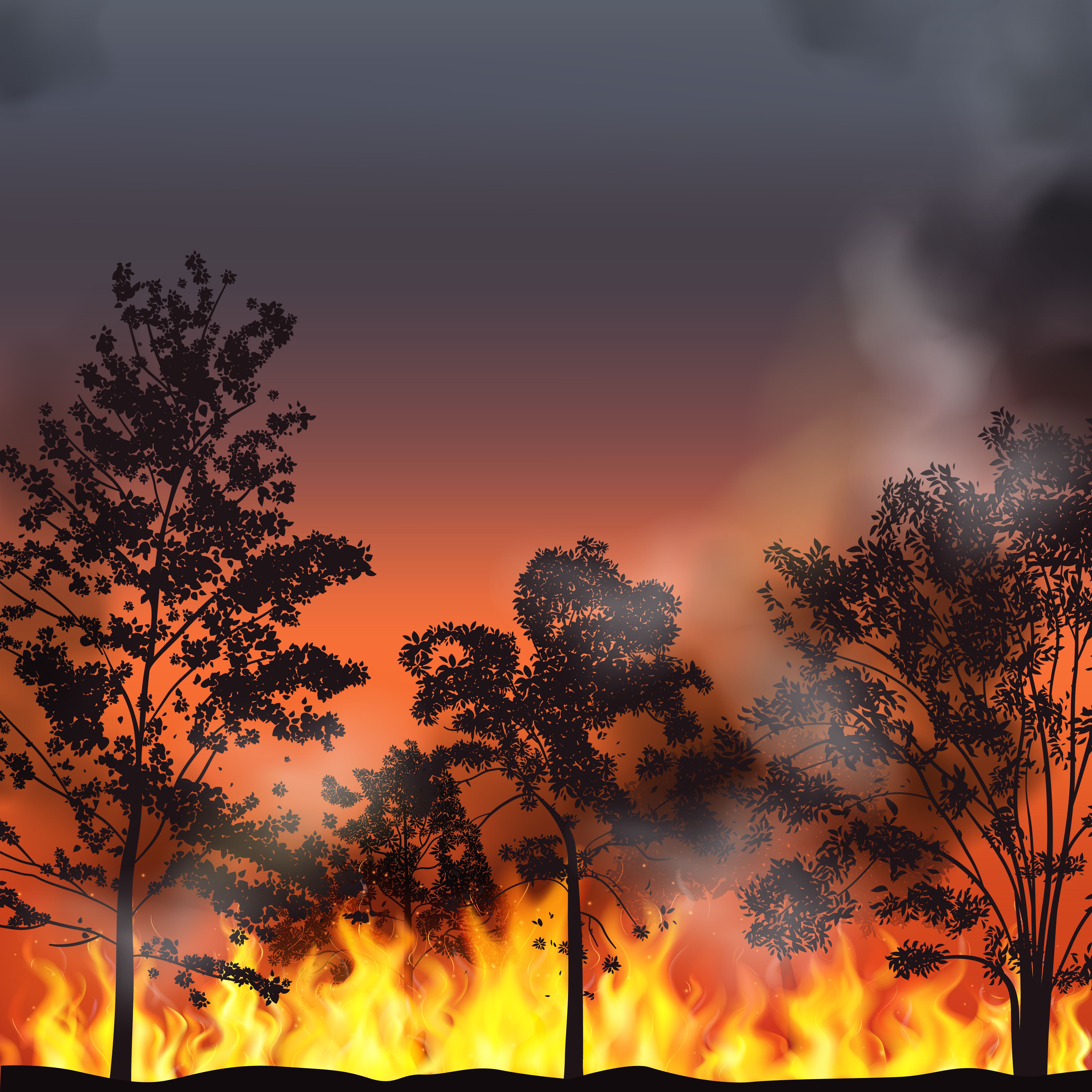 Australia’s Fire Risk Is Heating Up - Their Approach