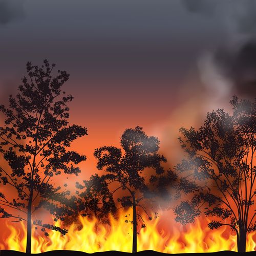 Australia’s Fire Risk Is Heating Up - Their Approach