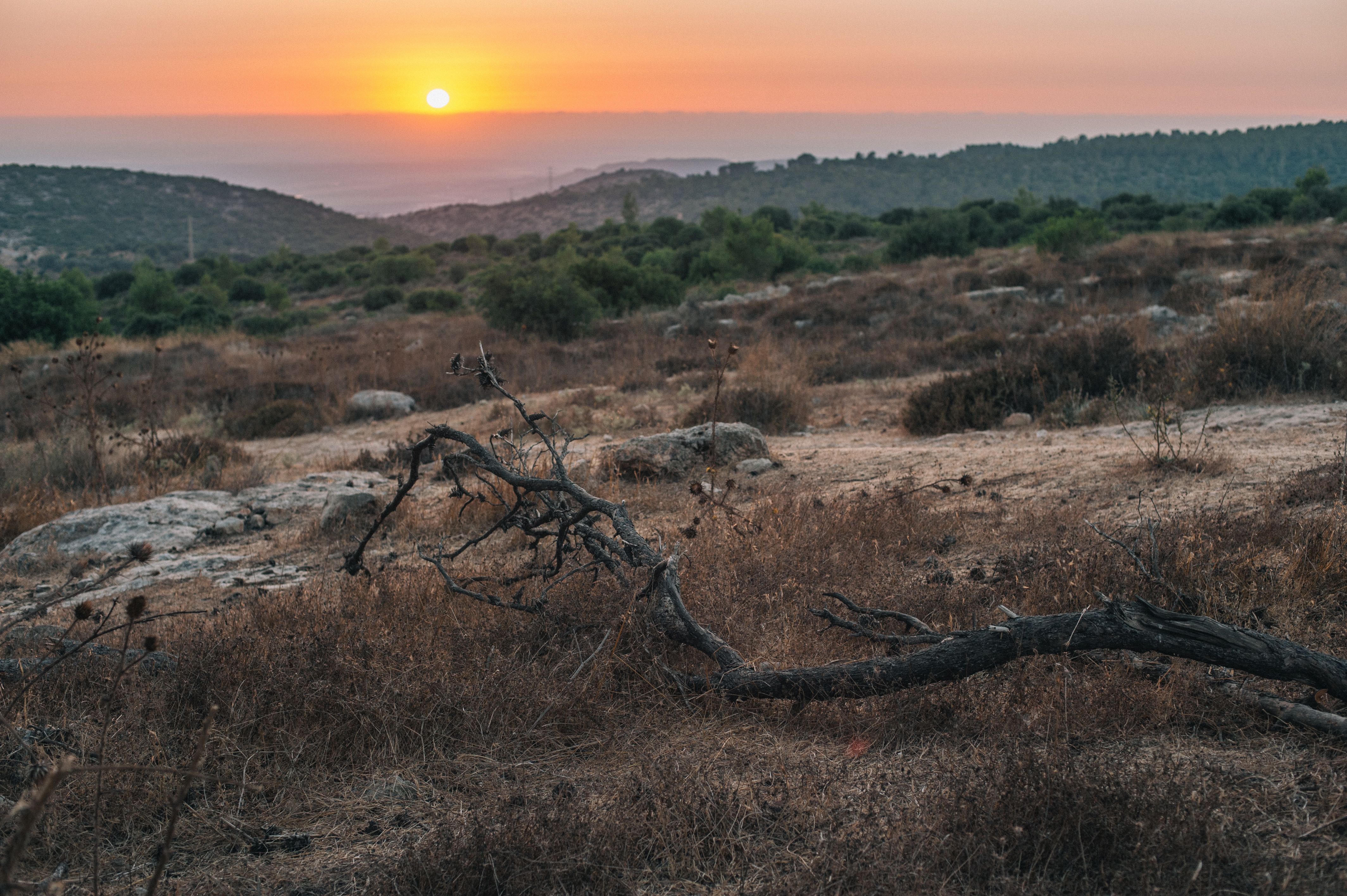 Extreme Fire Conditions Sweep Across Australia