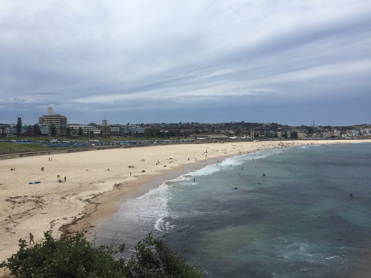 Bondi Beach Attack: Urgent Lessons on Security Risks and Preparedness