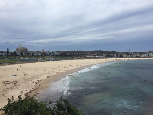 Bondi Beach Attack: Urgent Lessons on Security Risks and Preparedness