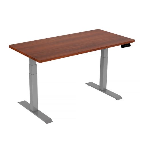 Freedom Plus Electric Standing Desk