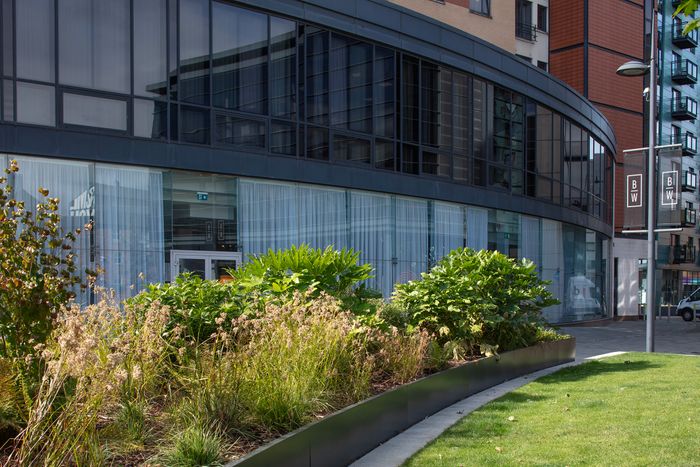 Landscape Construction