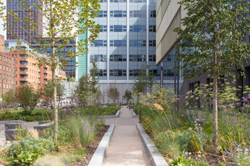 Landscape Construction