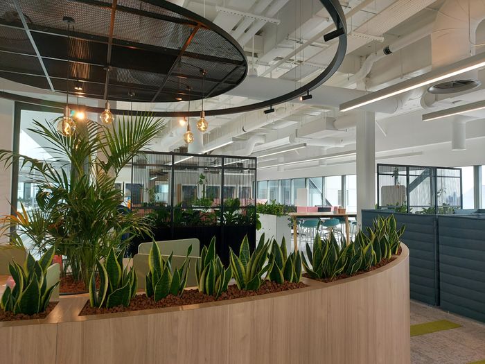 Interior and Exterior Plant Displays