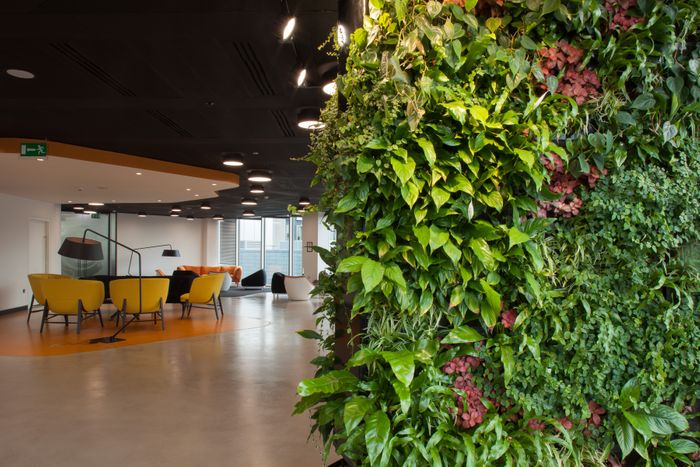 Interior and Exterior Plant Displays