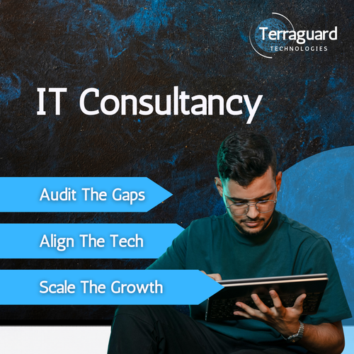 IT Consultancy