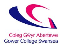 Company name - Gower College Swansea