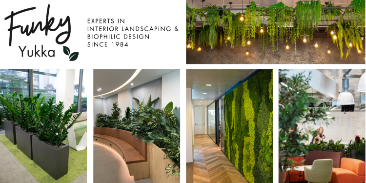 Join Funky Yukka at The Workplace Event, NEC Birmingham! 🌿