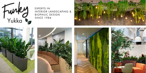 Join Funky Yukka at The Workplace Event, NEC Birmingham! 🌿