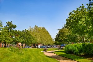 Nurturing environments and creating vibrant spaces for facilities and property managers