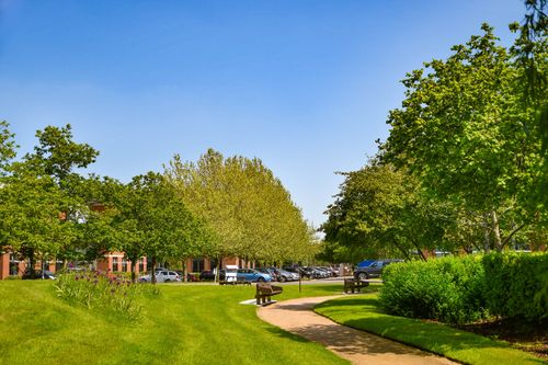 Nurturing environments and creating vibrant spaces for facilities and property managers