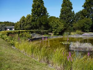 Creating nature-positive, biodiverse landscapes in a workplace environment
