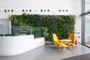Enhance your workplace with interior plant design: A harmony of aesthetics and well-being