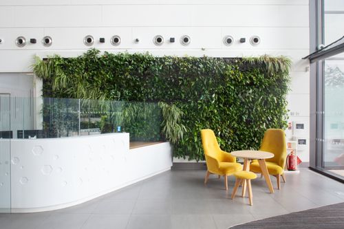 Enhance your workplace with interior plant design: A harmony of aesthetics and well-being