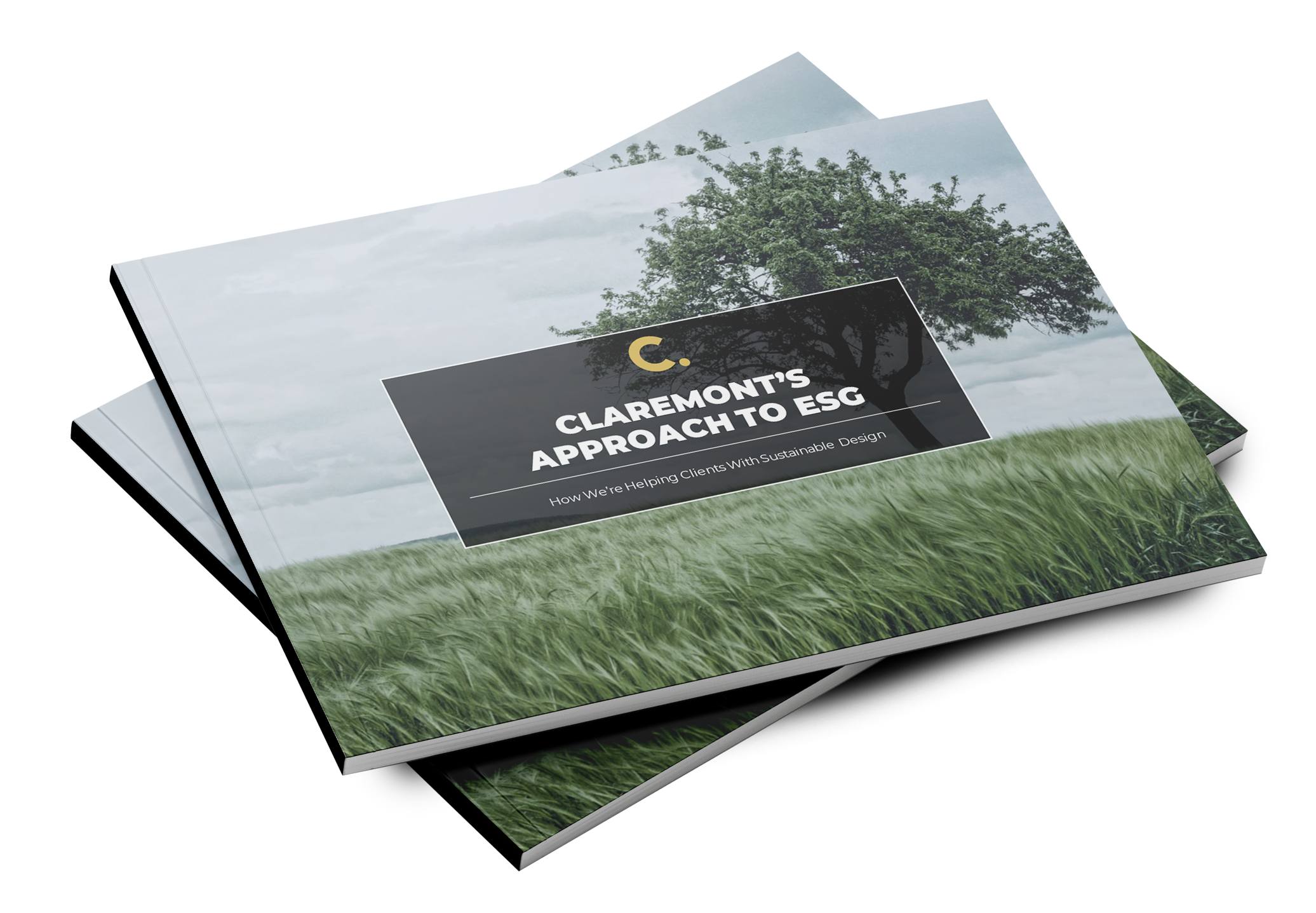 Our Commitment to ESG