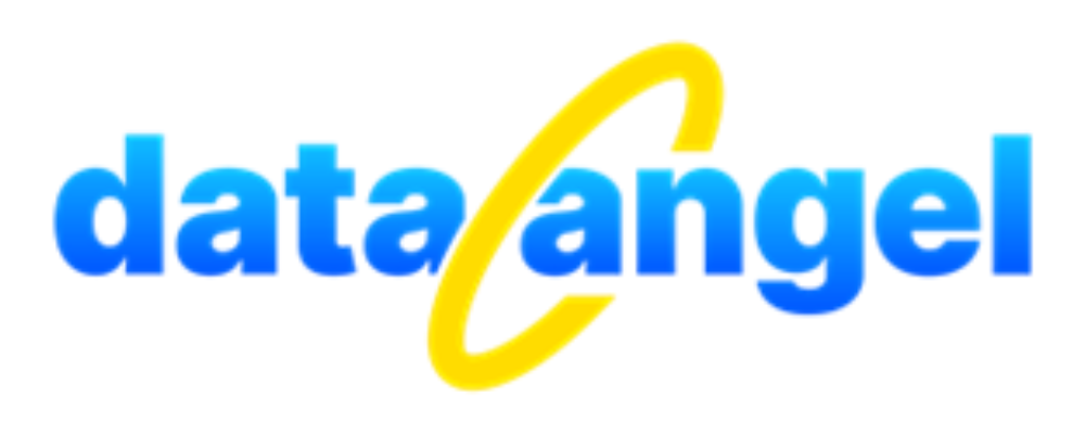 Data Angel Logo