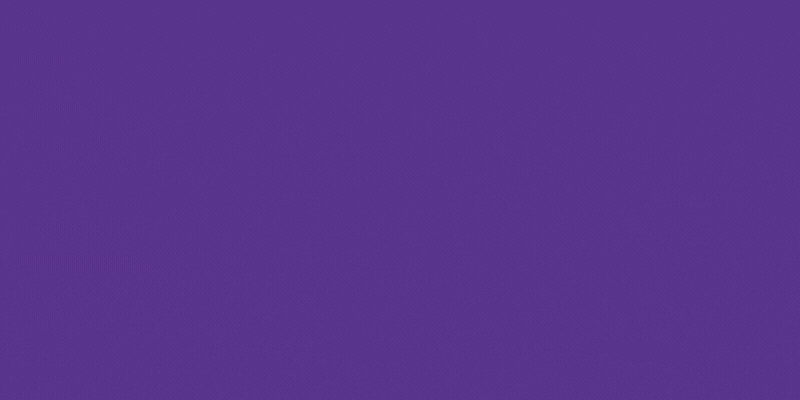 Visitor testimonials