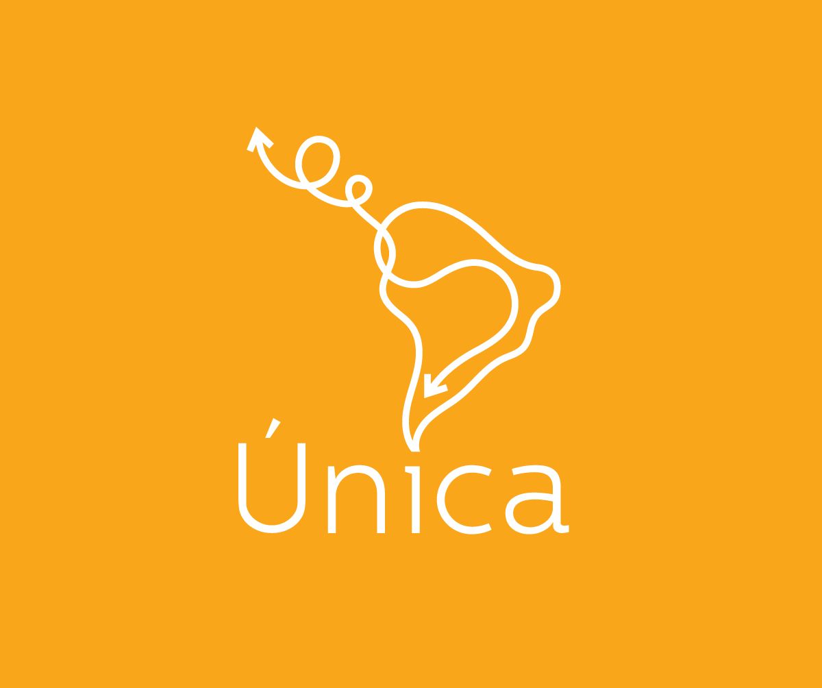 UNICA DMC Latin America