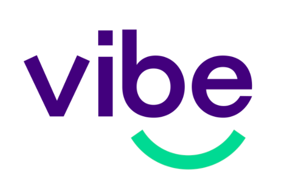 Vibe Systems Ltd
