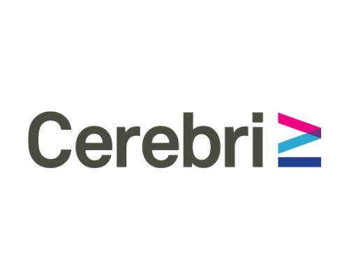 Cerebri AI Inc.