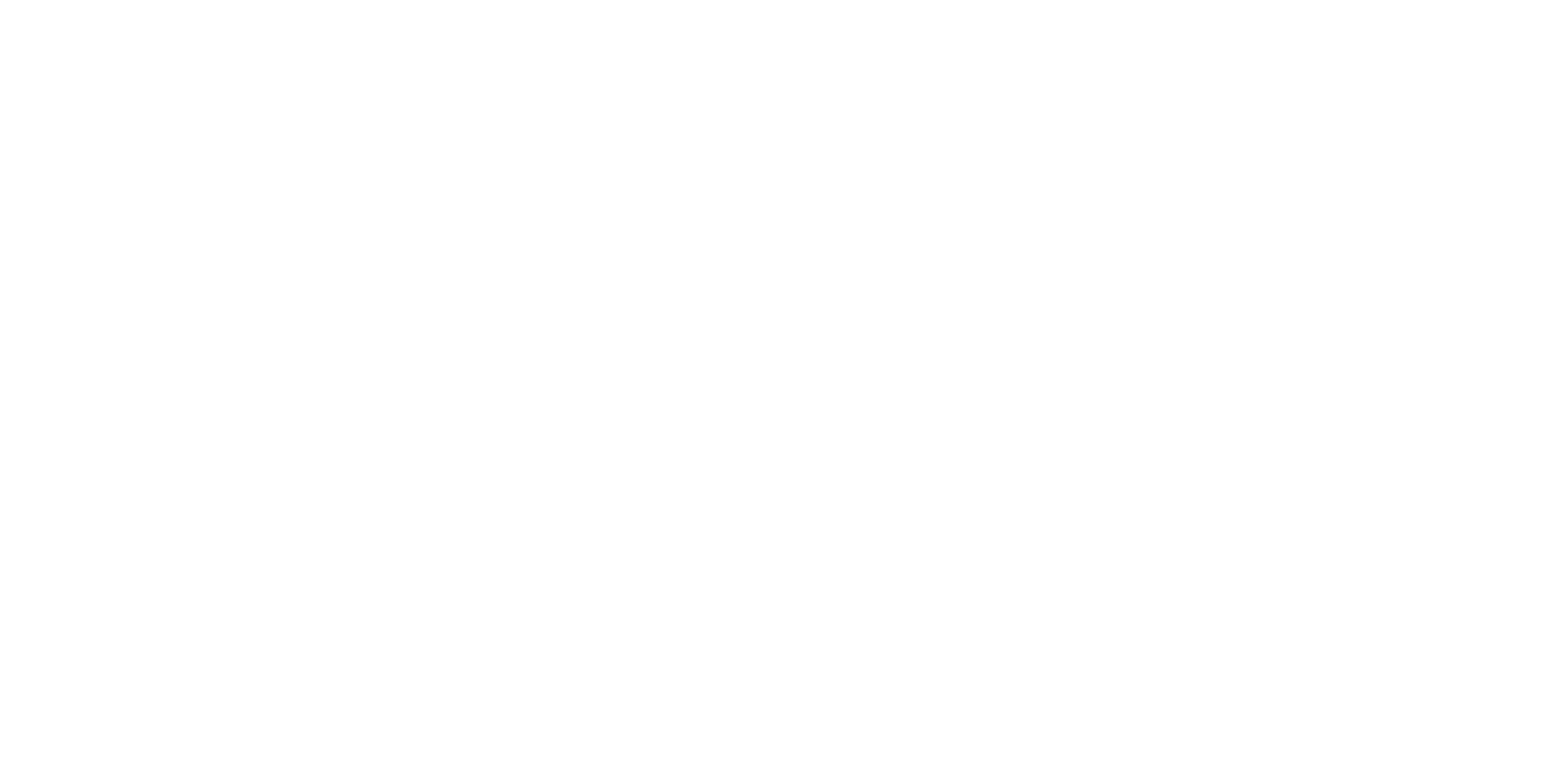 NorthStar Logo