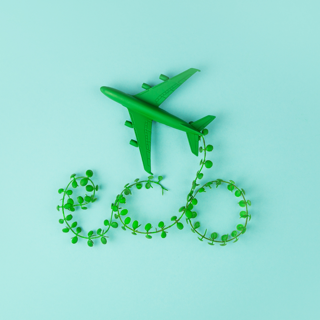 sustainability travel image