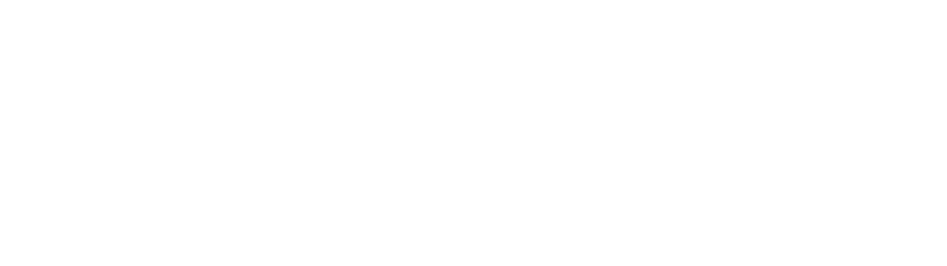 BTN Academy logo