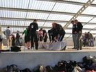 Team Building