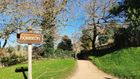 Host a Hobbit style feast at the Hobbiton - Movie Set