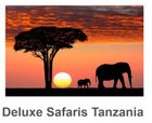 Deluxe Safaris in Tanzania