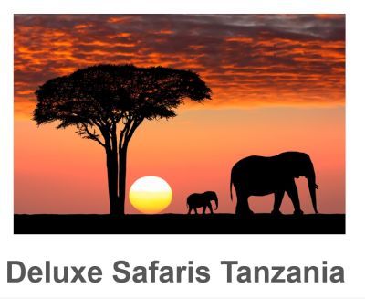 Deluxe Safaris in Tanzania