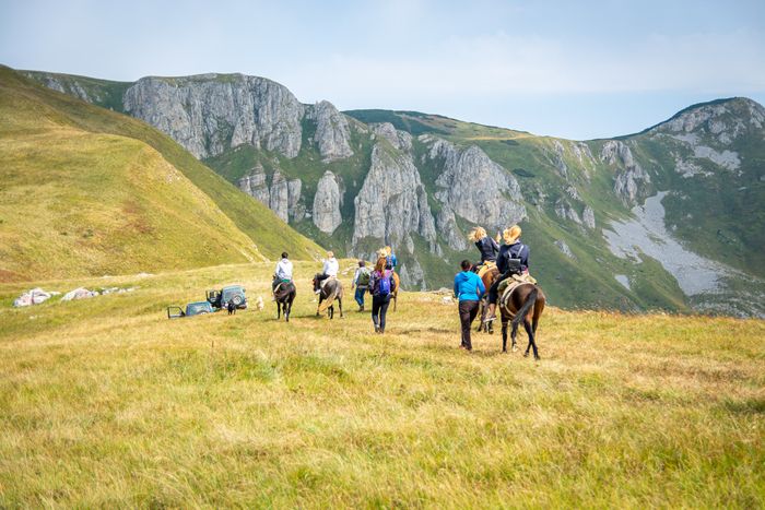Activities in Montenegro