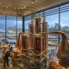 Gin Distillery Experience