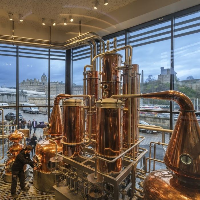 Gin Distillery Experience