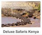 Deluxe Safaris Kenya