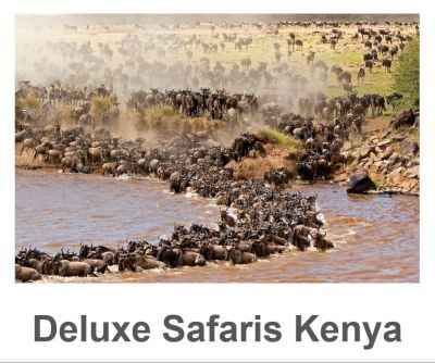 Deluxe Safaris Kenya