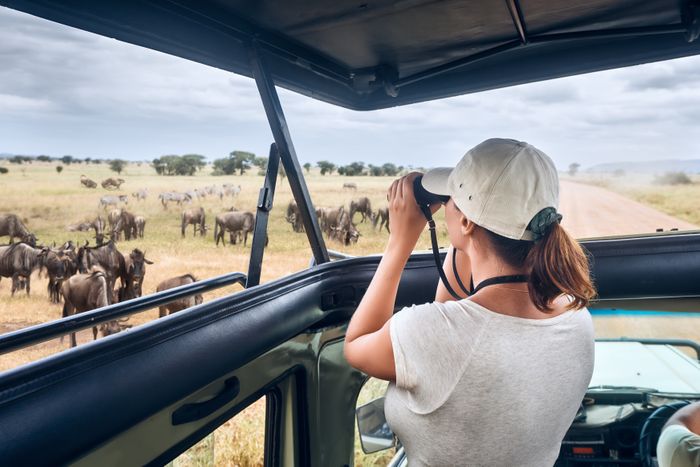 Deluxe Safaris Kenya