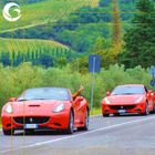 Your way to Italy, designed for you