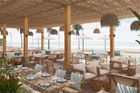 Culinary Around the World