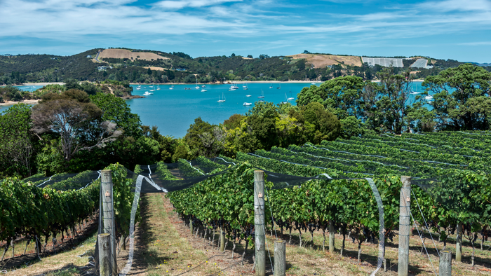 Auckland and Waiheke Island