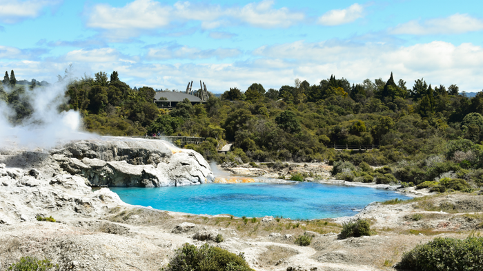 Rotorua and Hamilton