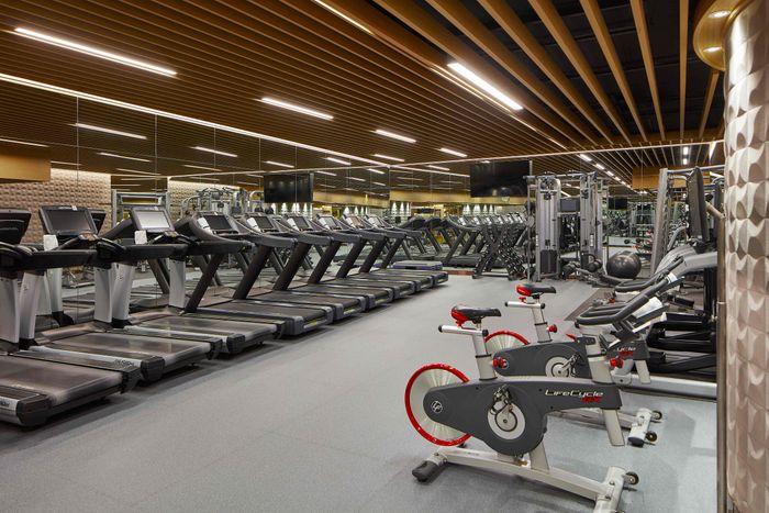 Wellness Retreat