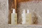 Eco-Conscious Practices