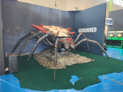 Spider