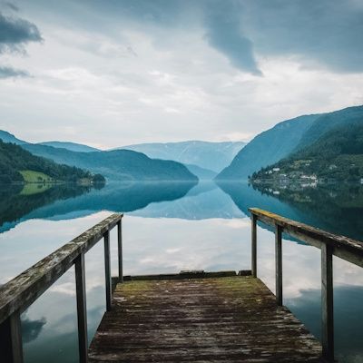 Norwegian Fjord View